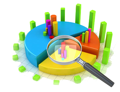 Analytics & Reporting