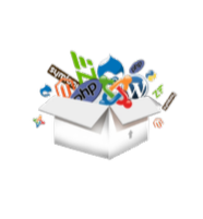 Website Development Icon